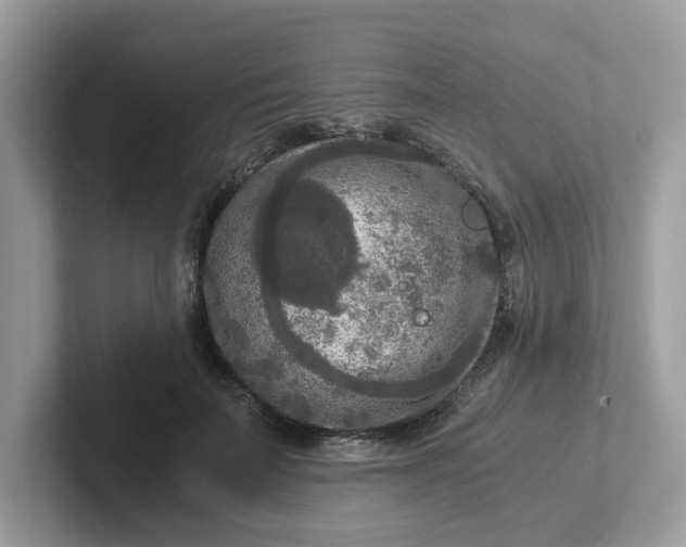 X0000101410699200807211056