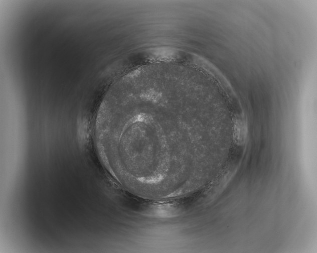 X0000101410701200807211056