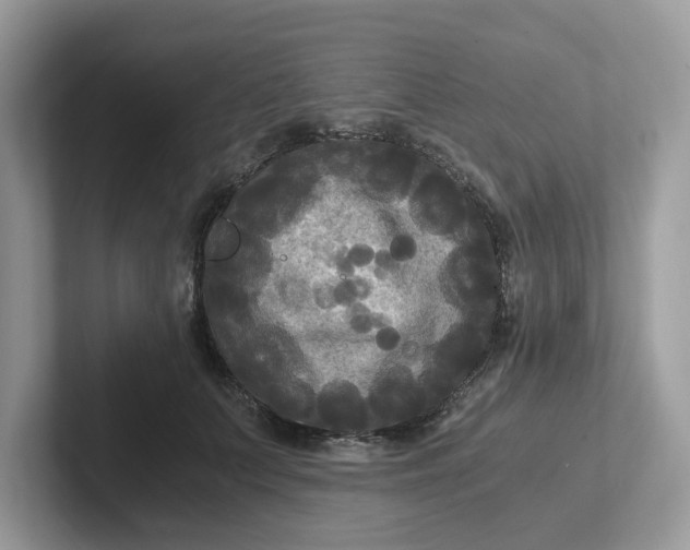 X0000101410703200807211056