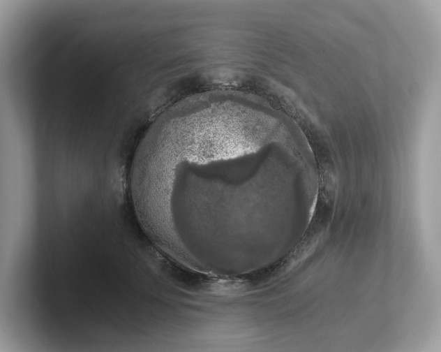 X0000101410707200807211055