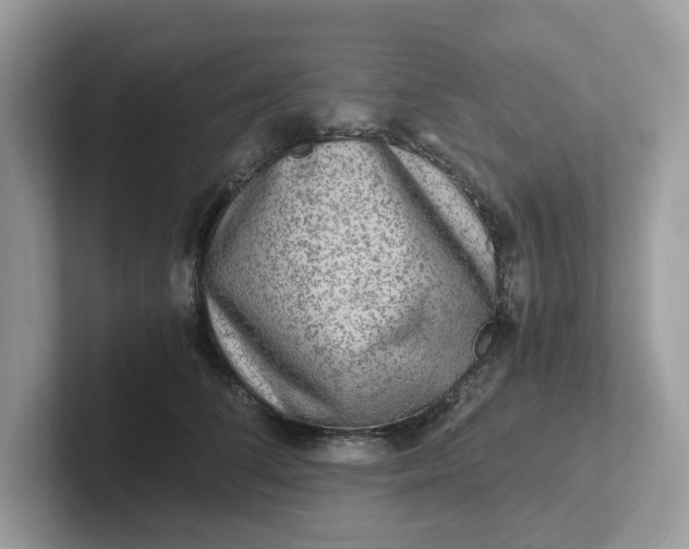 X0000101410708200807211055