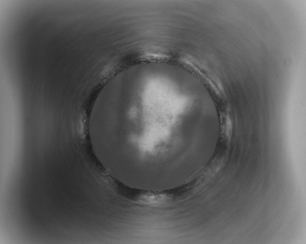 X0000101410712200807211055