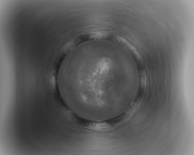 X0000101410716200807211055