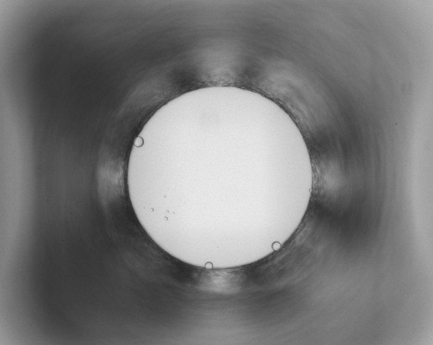 X0000101410717200807211055