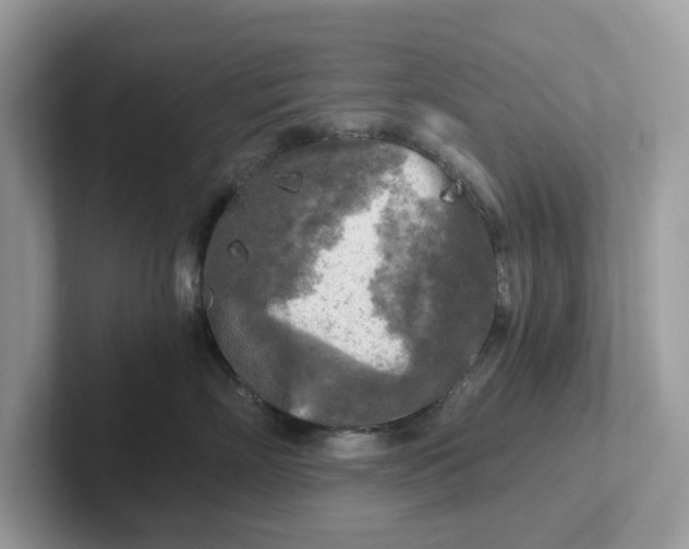 X0000101410718200807211055