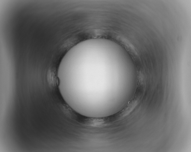 X0000101410719200807211055