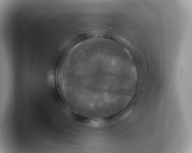 X0000101410720200807211055