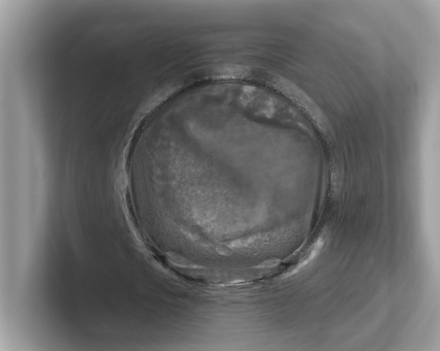 X0000101410721200807211055