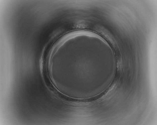 X0000101410722200807211055