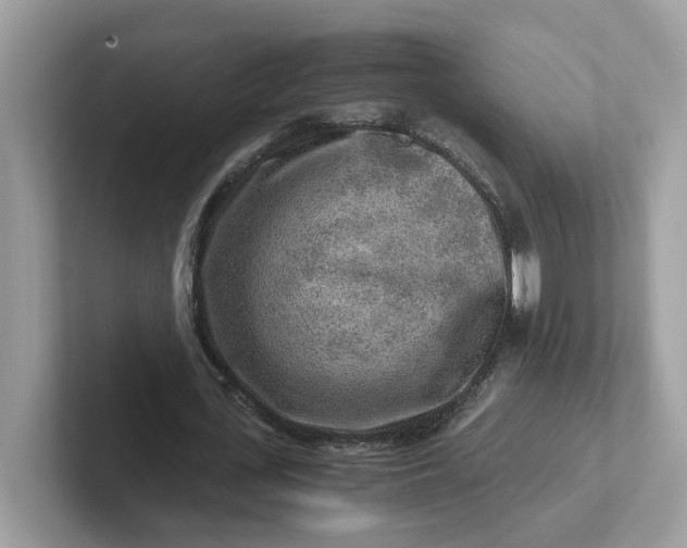 X0000101410723200807211055