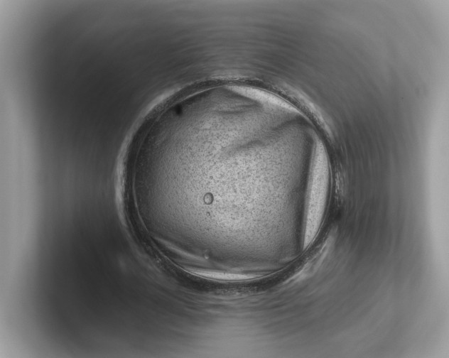 X0000101410724200807211055