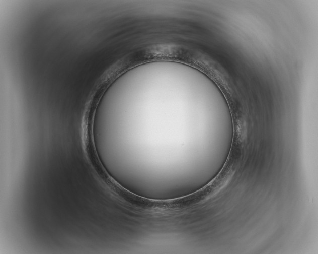 X0000101410725200807211055