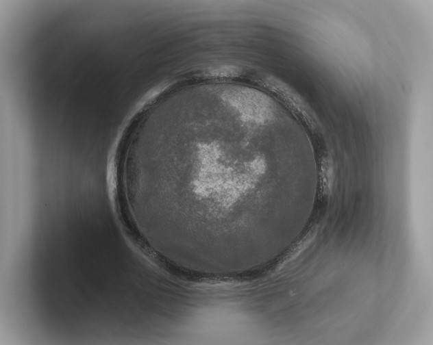 X0000101410726200807211055