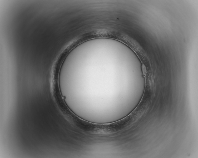 X0000101410728200807211055