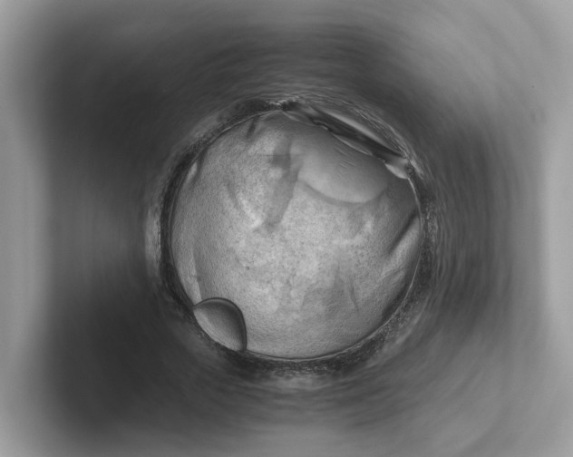 X0000101410729200807211055