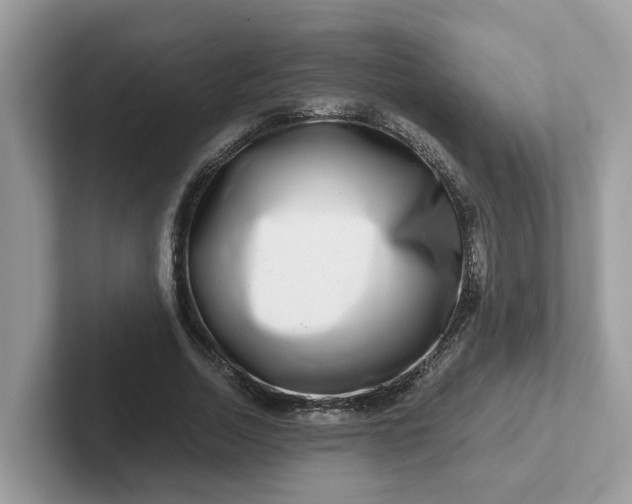 X0000101410730200807211055