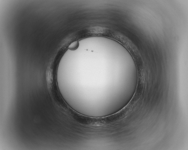 X0000101410731200807211055