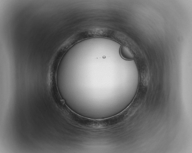 X0000101410735200807211055