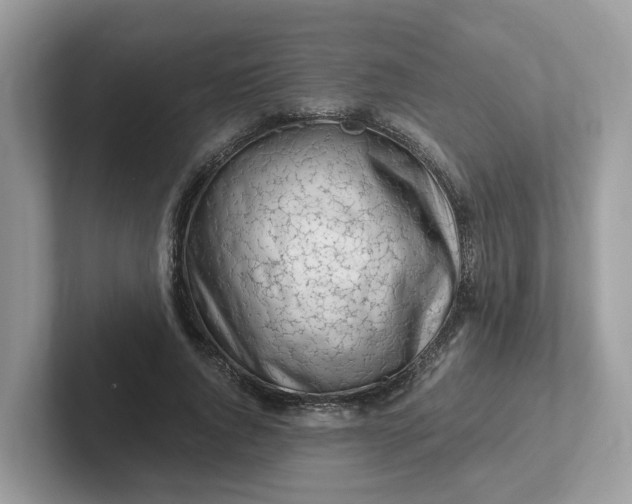 X0000101410736200807211055