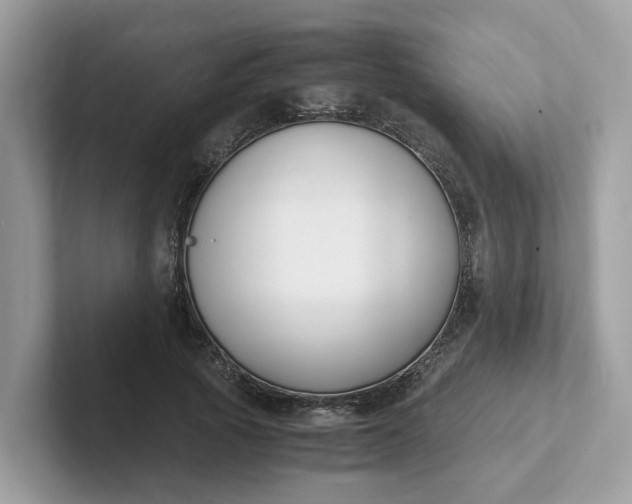 X0000101410737200807211055