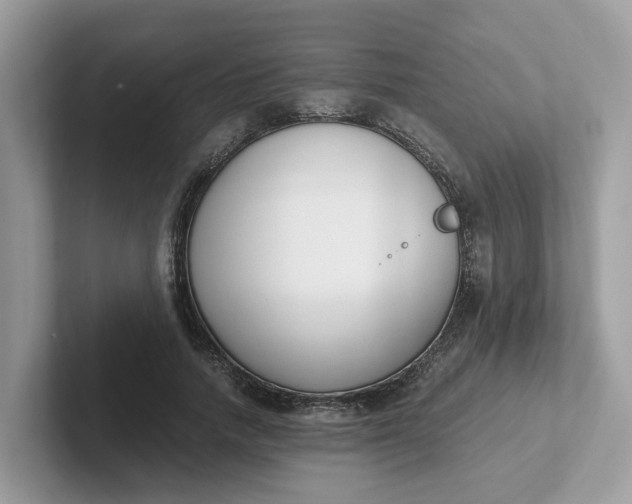 X0000101410738200807211055