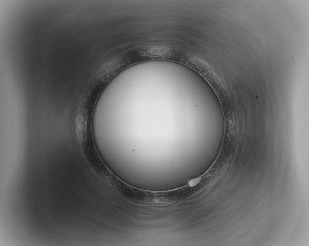 X0000101410739200807211055