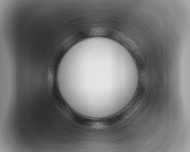 X0000101410741200807211055