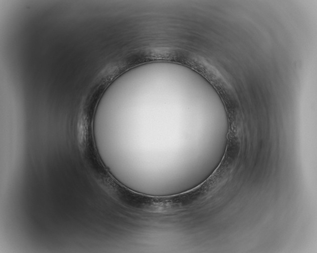 X0000101410744200807211055