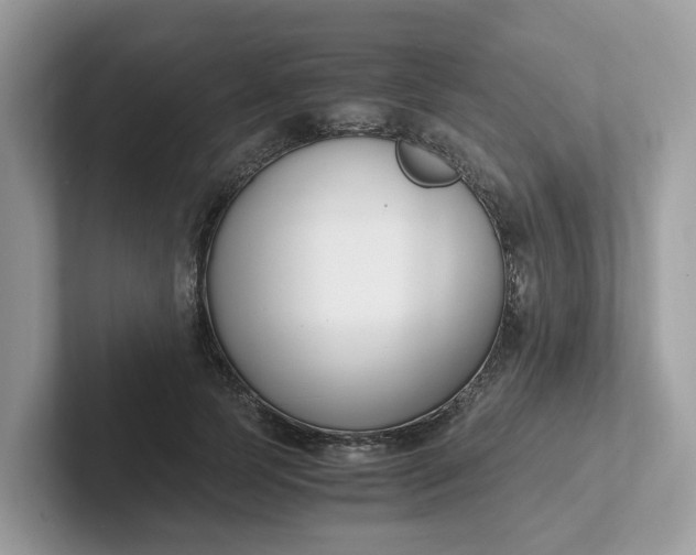 X0000101410745200807211055