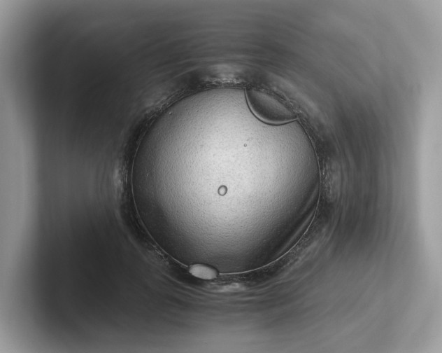 X0000101410747200807211055