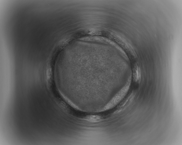 X0000101410748200807211055