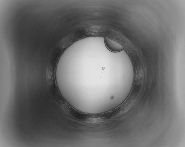 X0000101410749200807211055