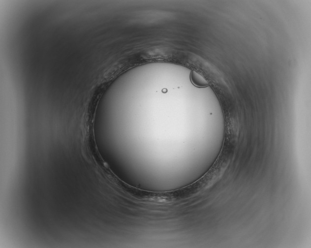 X0000101410751200807211055