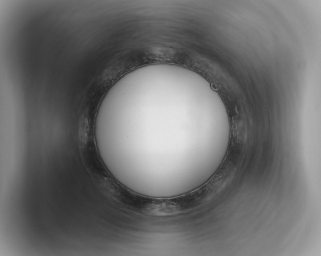 X0000101410752200807211055