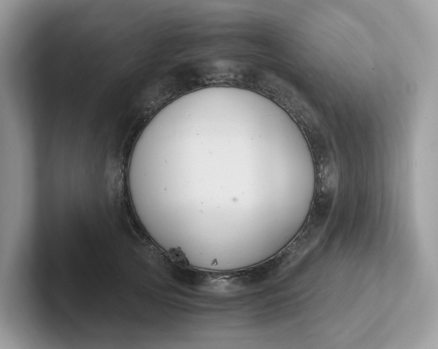 X0000101410753200807211055