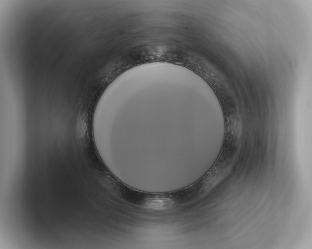 X0000101410754200807211055