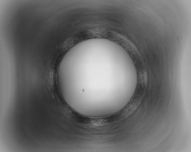 X0000101410757200807211055