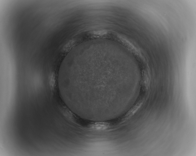 X0000101410758200807211055