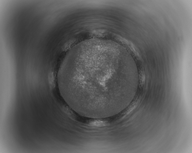 X0000101410759200807211055