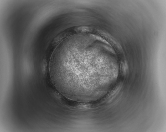 X0000101410760200807211055