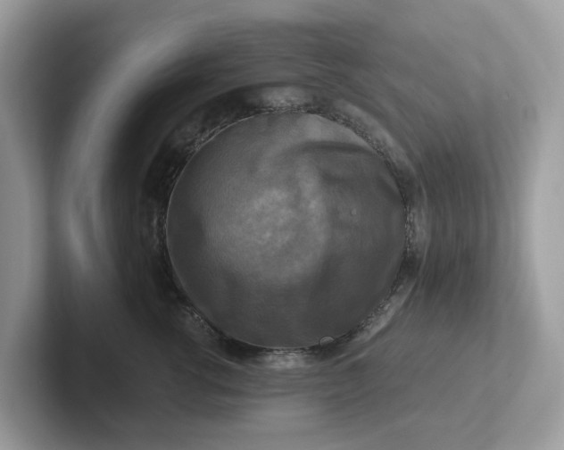 X0000101410762200807211055