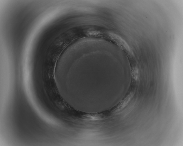 X0000101410763200807211055