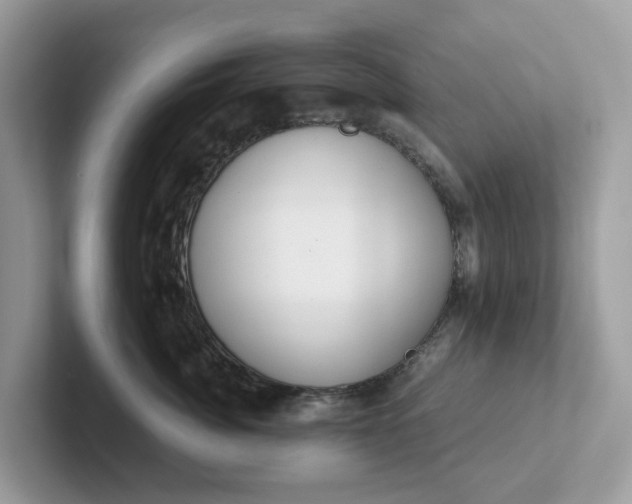 X0000101410764200807211055