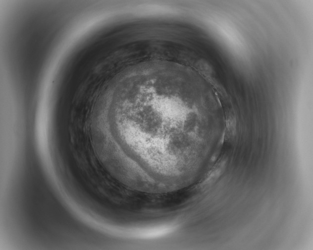 X0000101410765200807211055