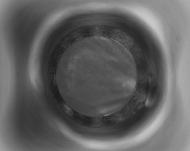 X0000101410766200807211055