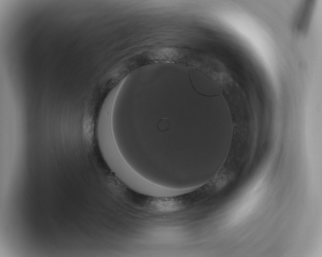 X0000101410767200807211055