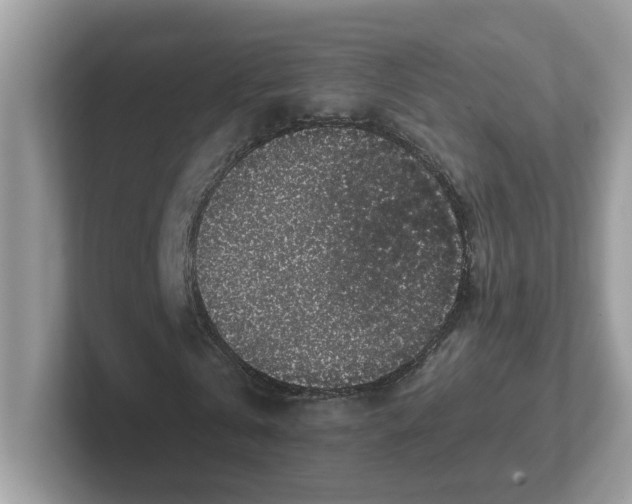 X0000101410769200807211055