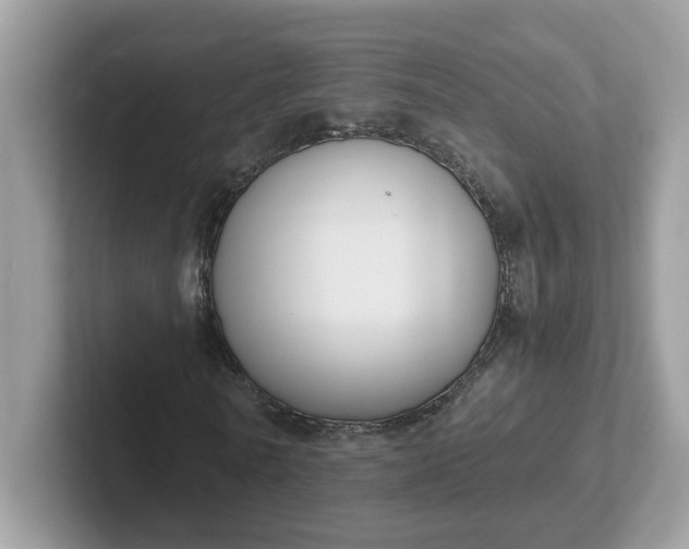 X0000101410770200807211055