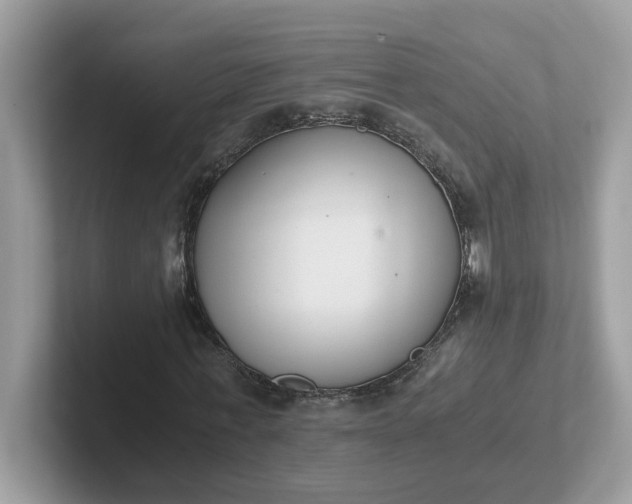 X0000101410771200807211055