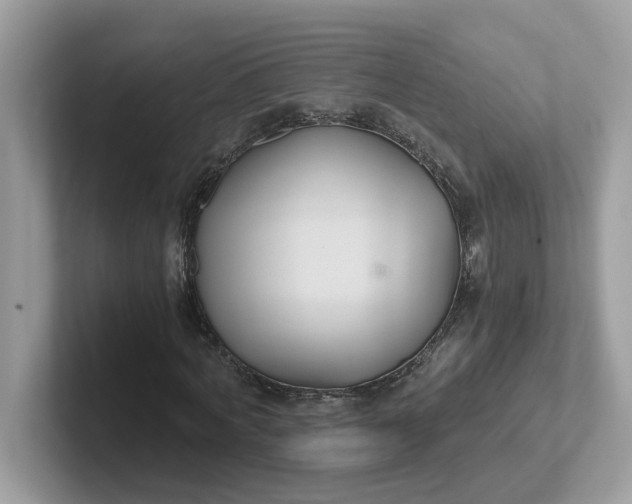 X0000101410772200807211055